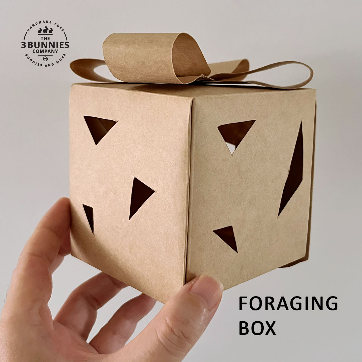 Foraging Box Toy