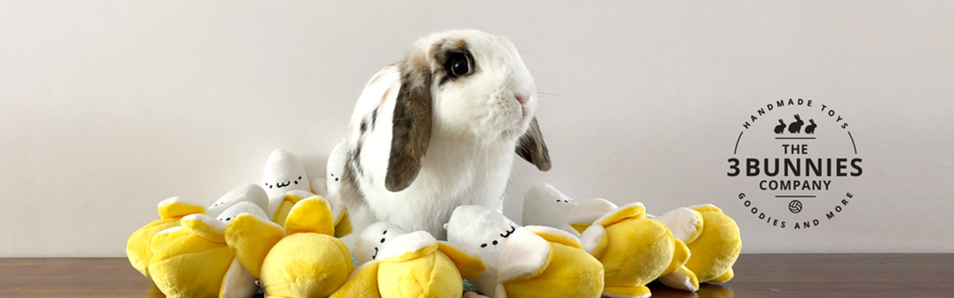 Our rabbits