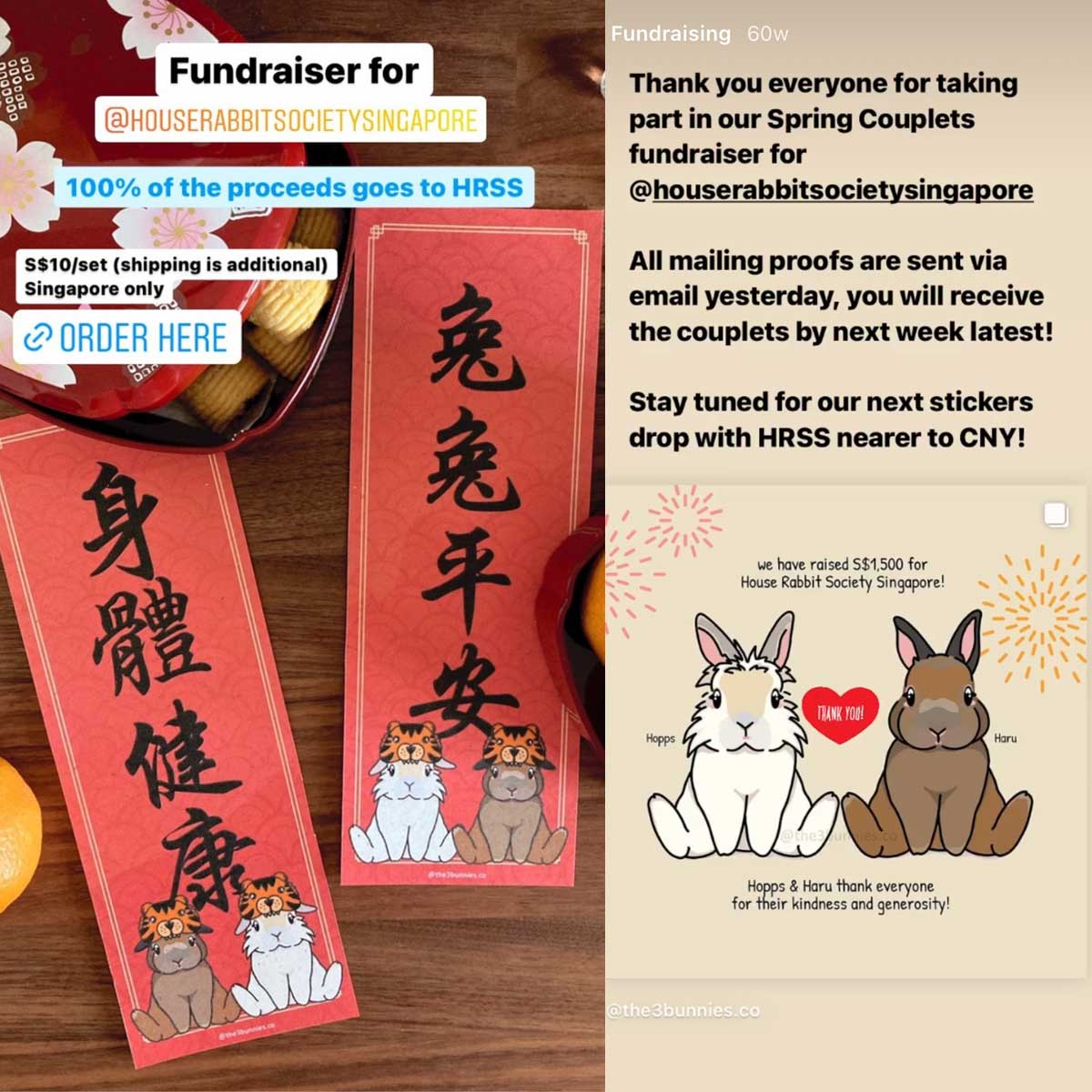 Chinese New Year 2022 fundraiser