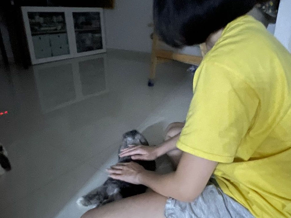 Our rabbits