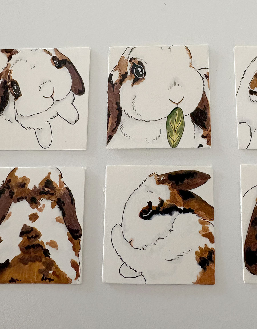 Rabbit Illustration