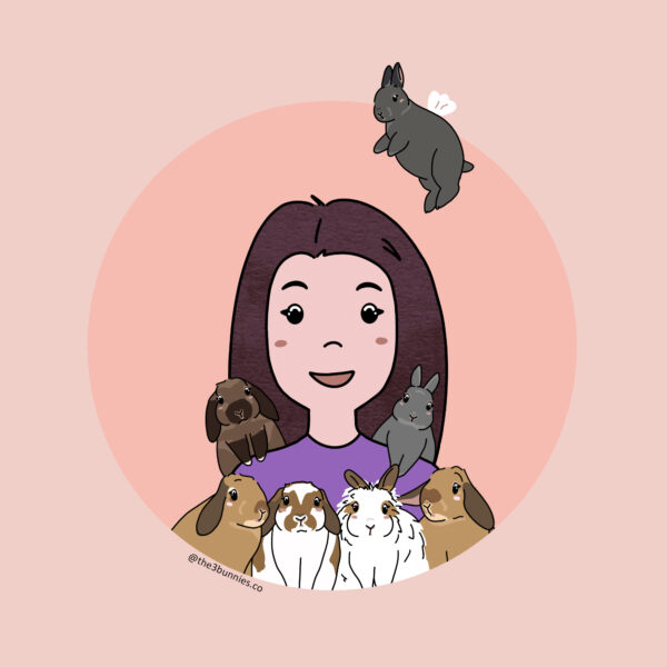 the3bunnies.co - family portrait with pets. cartoon portraits