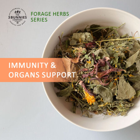 the3bunnies_forage_hearbs_immunity_organ_support