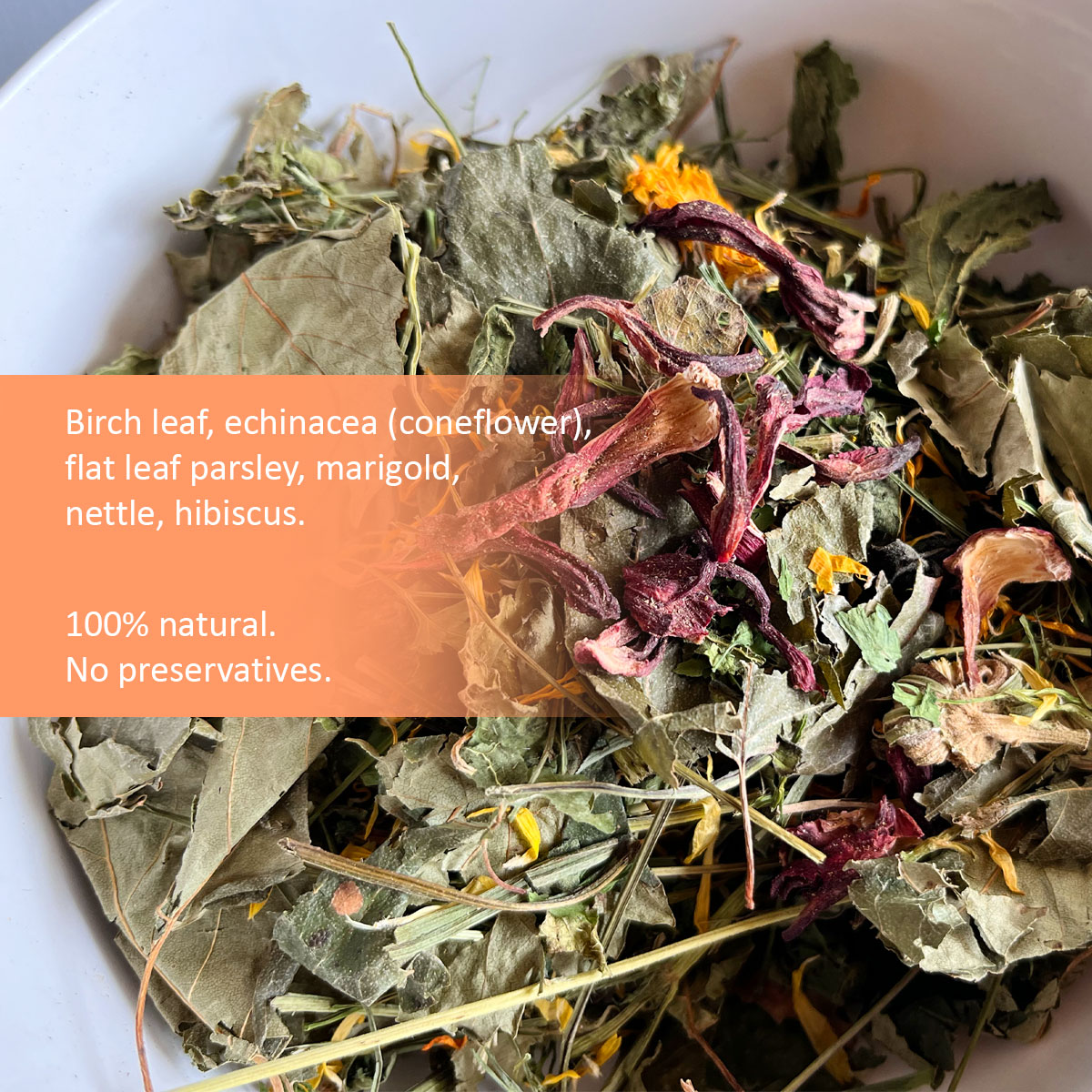 the3bunnies_forage_hearbs_immunity_organ_support