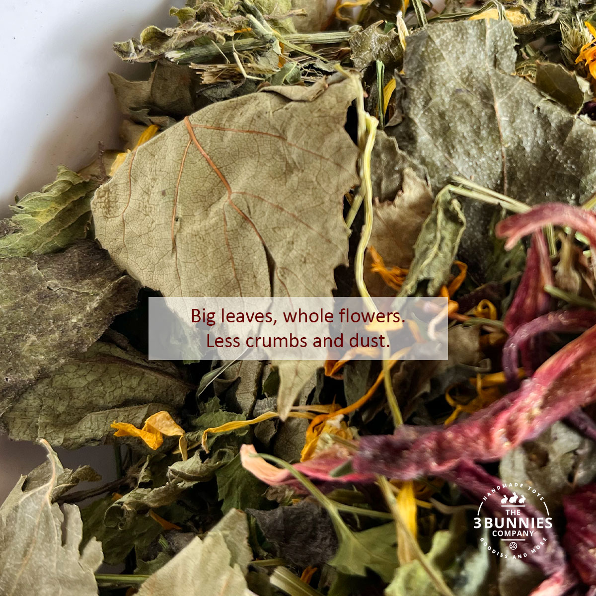 the3bunnies_forage_hearbs_immunity_organ_support