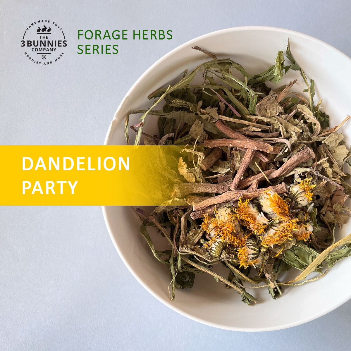 the3bunnies_forage_hearbs_immunity_dandelion