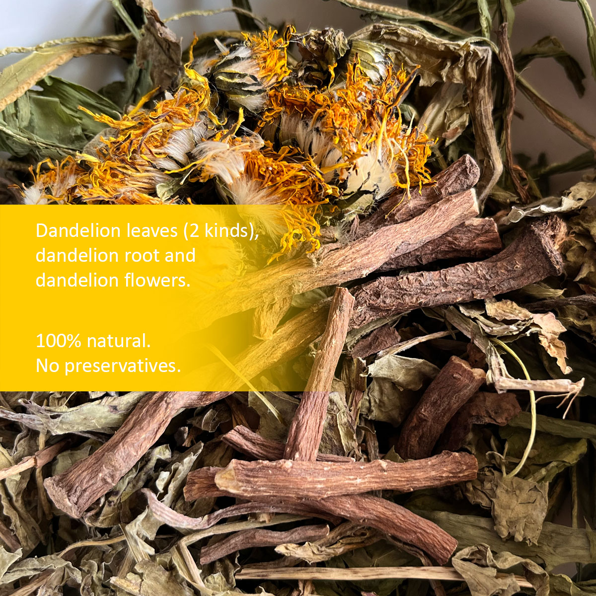 the3bunnies_forage_hearbs_immunity_dandelion