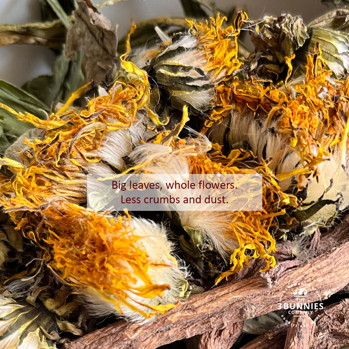 the3bunnies_forage_hearbs_immunity_dandelion