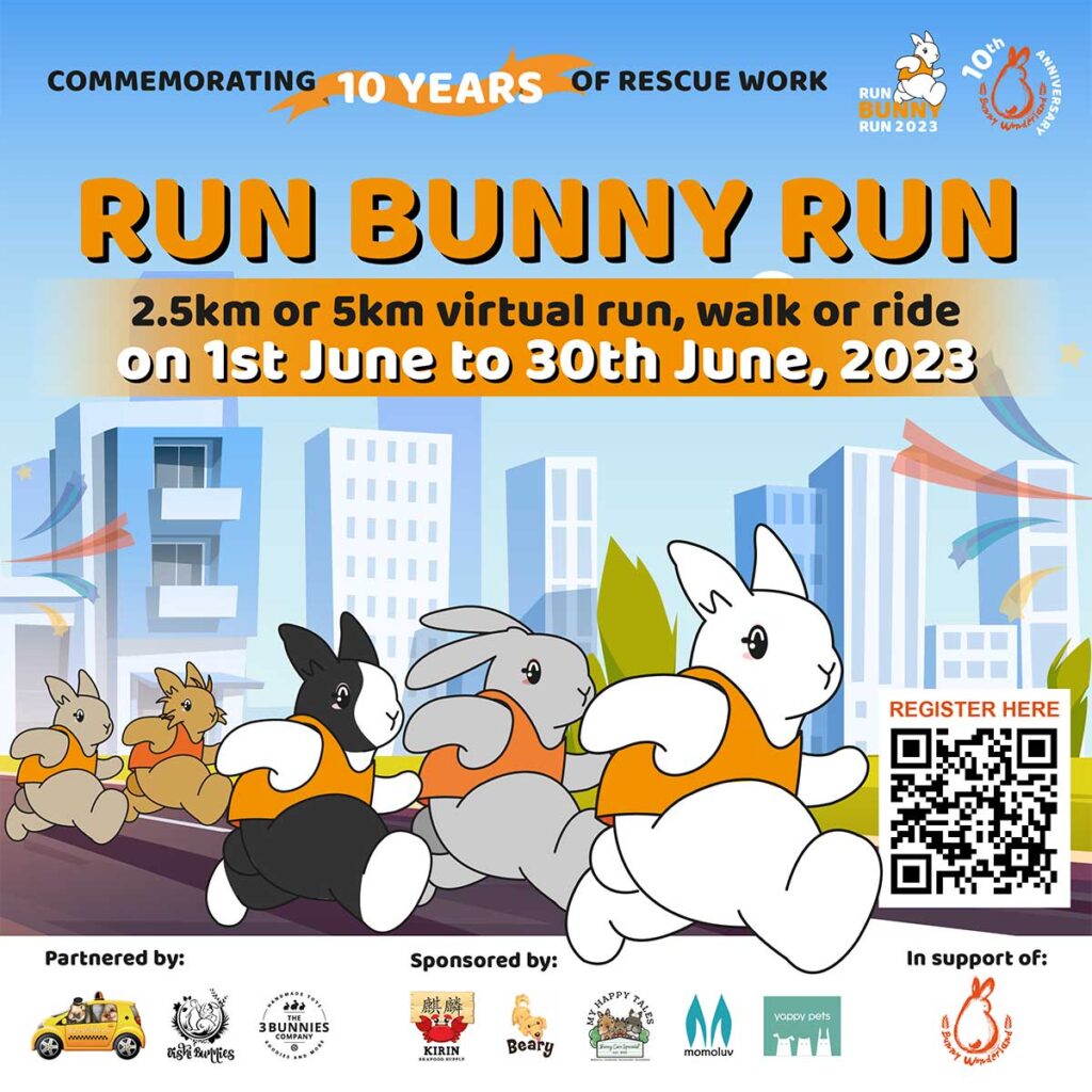 Run Bunny Run 2023
