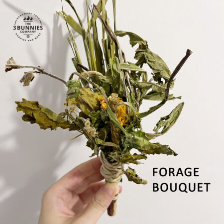 foraging toys for rabbits, forage bouquet, forage herbs for rabbits